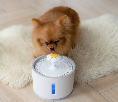 Fuente De Agua Flor Led 2,5Lts