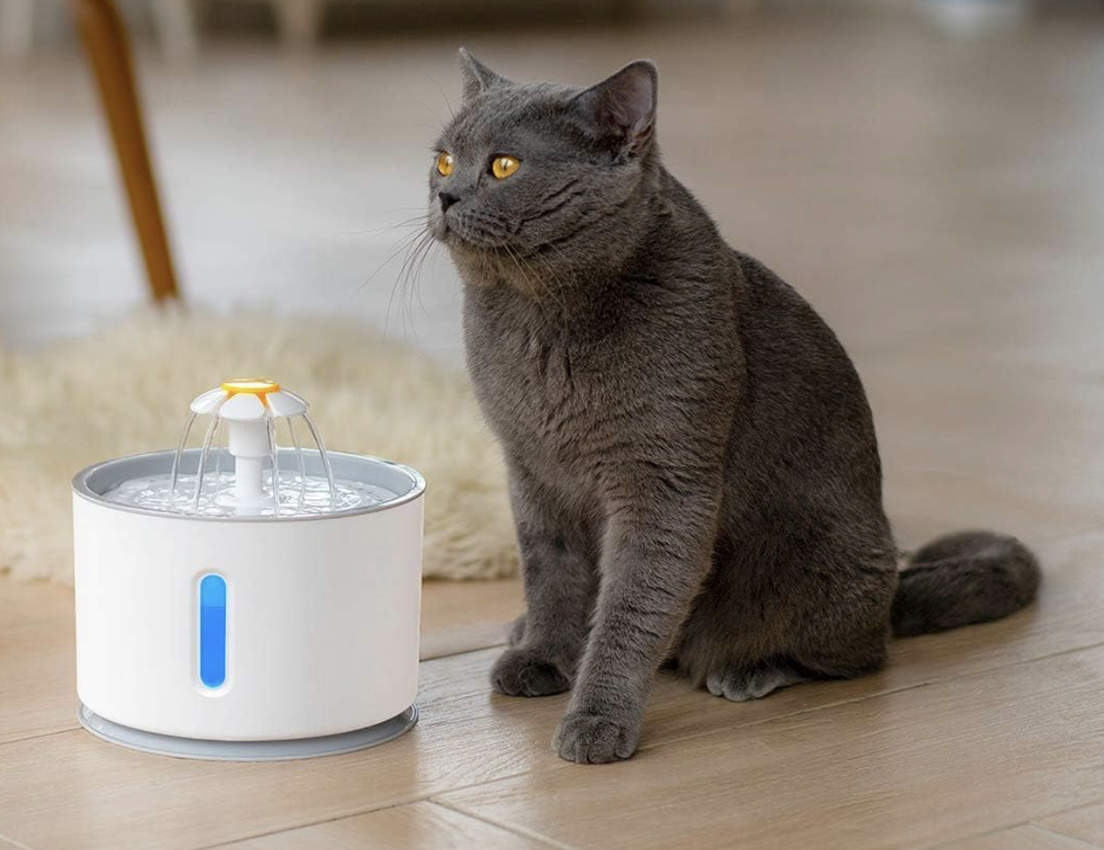 Fuente De Agua Flor Led 2,5Lts