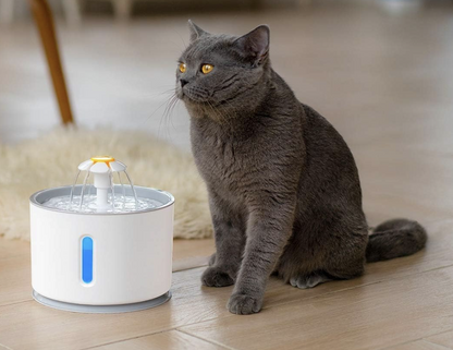 Fuente De Agua Flor Led 2,5Lts