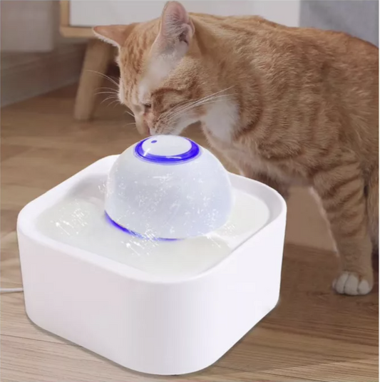 Fuente De Agua Para Gato Esfera Con Luz Led