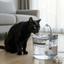 Fuente De Agua Transparente 1,8LTS