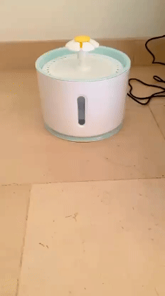 Fuente De Agua Flor Led 2,5Lts