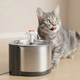 Fuente de Agua para Gato en Acero Inoxidable (2,5L)