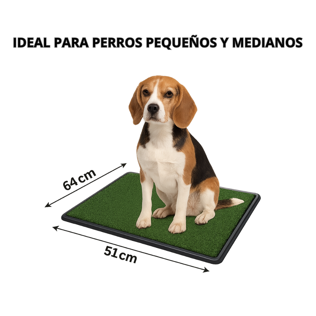 Tapete Sanitario Entrenamiento Para Perro