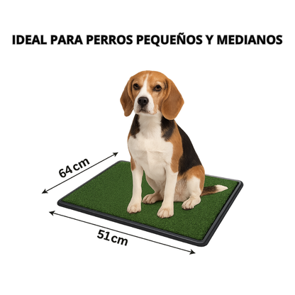 Tapete Sanitario Entrenamiento Para Perro