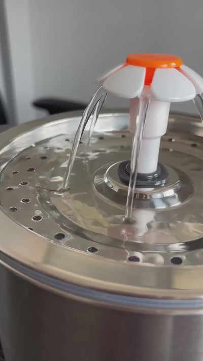 Fuente de Agua para Gato en Acero Inoxidable (2,5L)